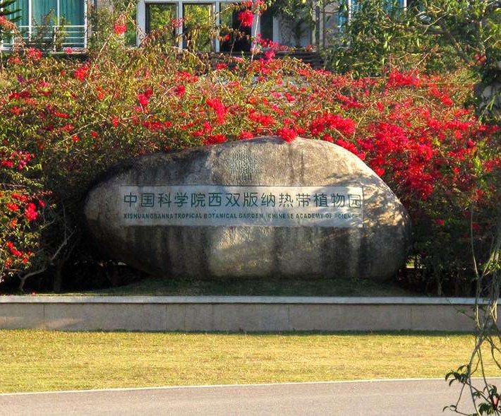中科院西双版纳热带植物园